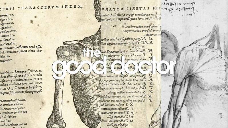 Англійська і серіали: «Good doctor»